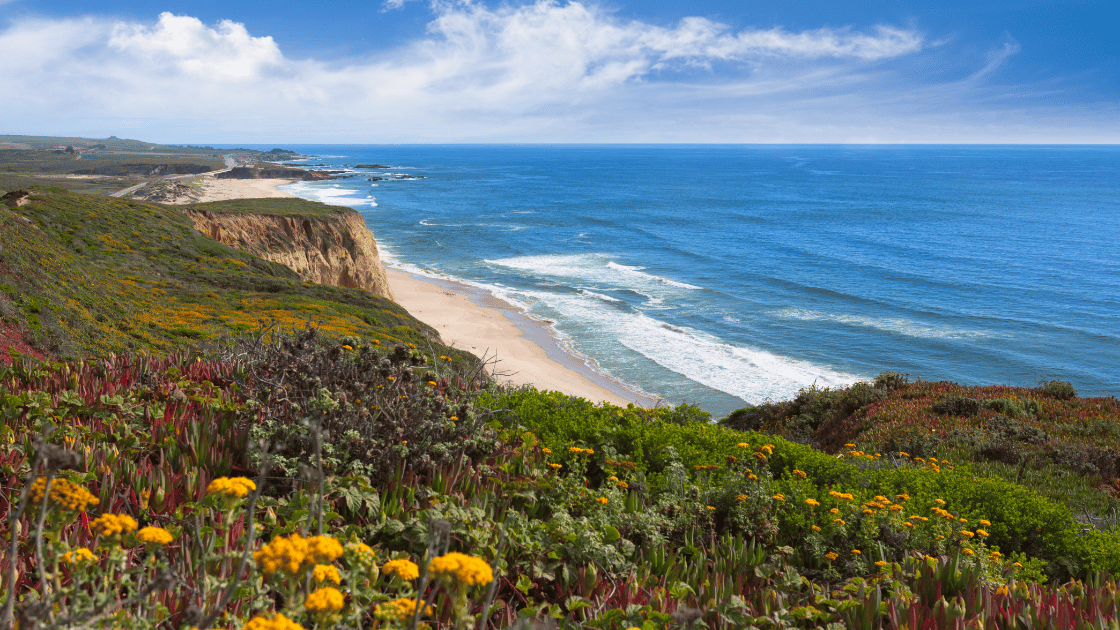 Environmental Justice Case Law: Key Decisions and Future Directions