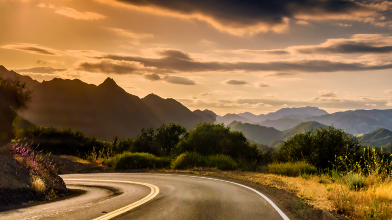 Navigating the Litigation Process in California: A Practitioner’s Handbook  